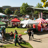 How to Care for and Maintain Your Custom Canopy Tent