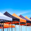 The Best Pop-Up Canopies for Beach Days, Tailgates, and More